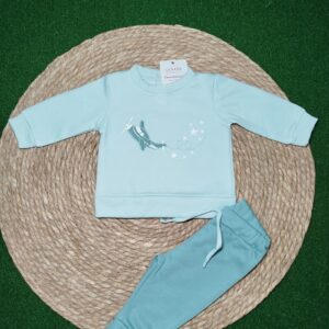 Chandal niño avion verde